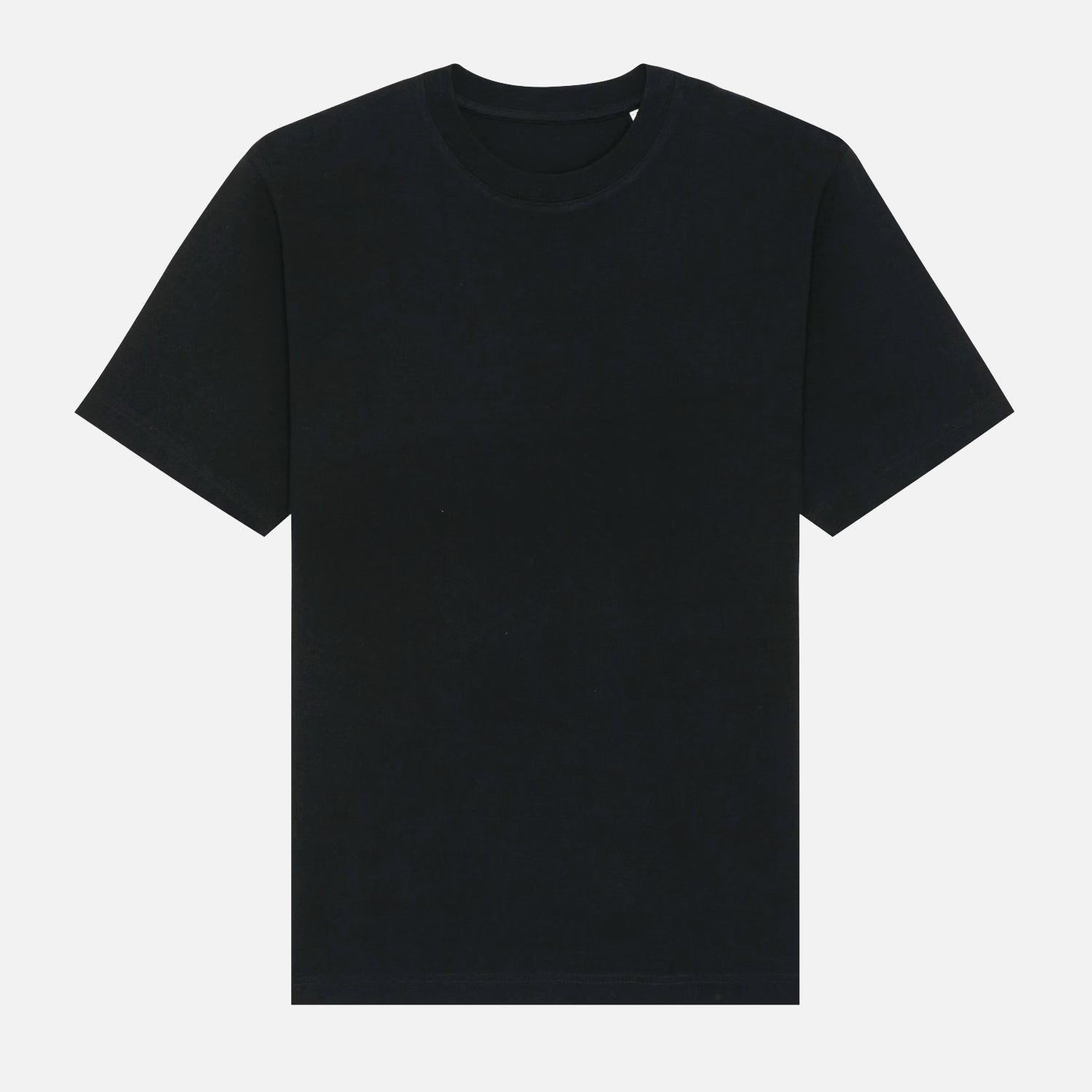 Mens Basic Heavyweight Relaxed Fit T-shirt