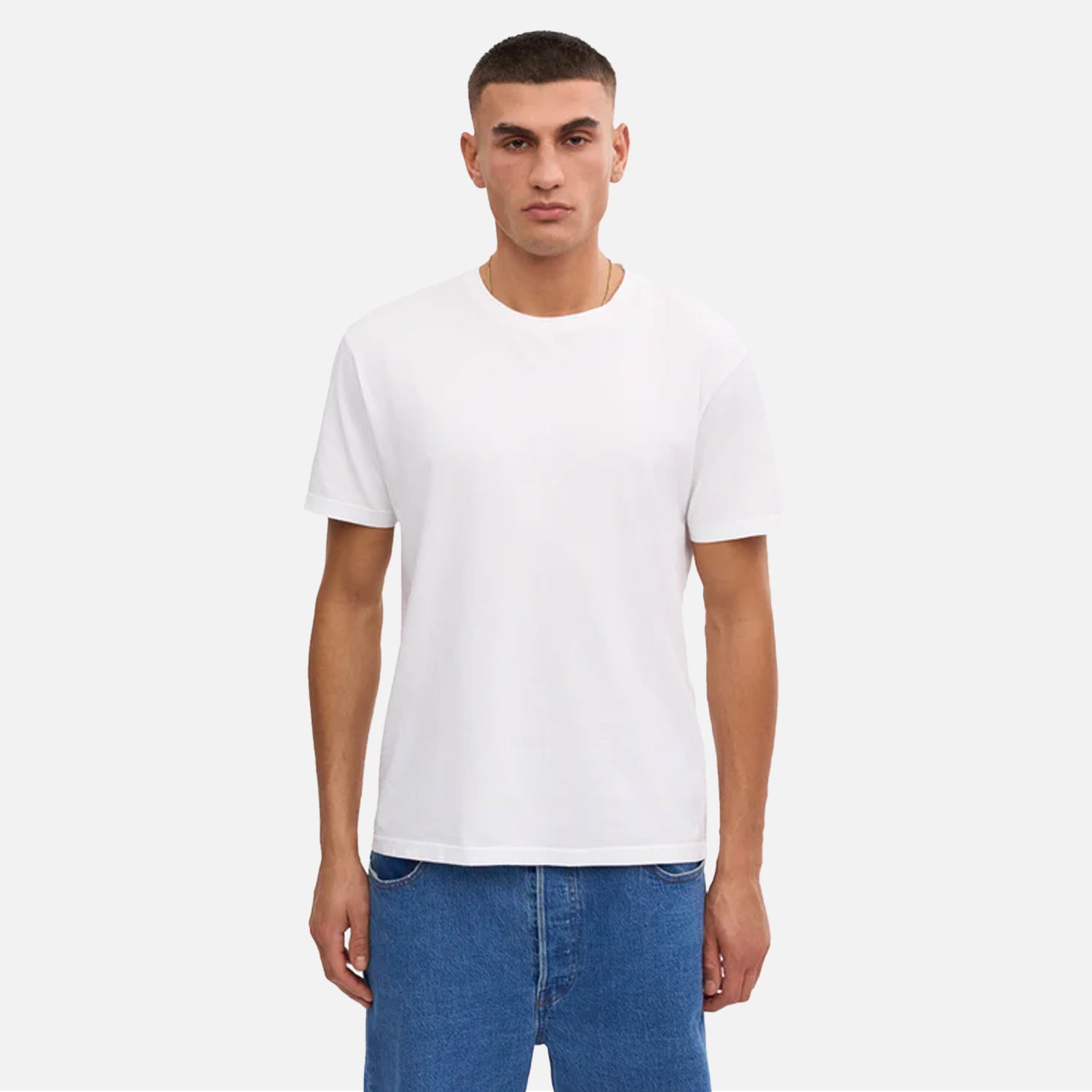 Mens Basic Lightweight Regular Fit T-shirt